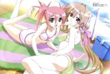 BUY NEW seto no hanayome - 123580 Premium Anime Print Poster